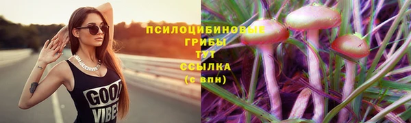 тгк Богданович