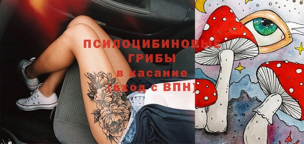тгк Богородск