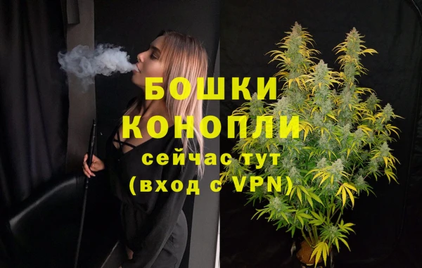 молекула духа Белокуриха