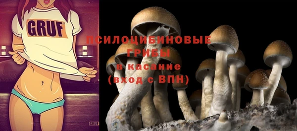 винт Бронницы