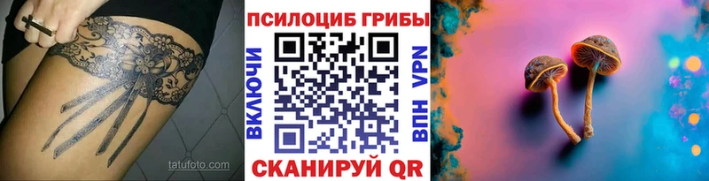 Галлюциногенные грибы Cubensis  мега зеркало  Горячий Ключ  купить наркотик 
